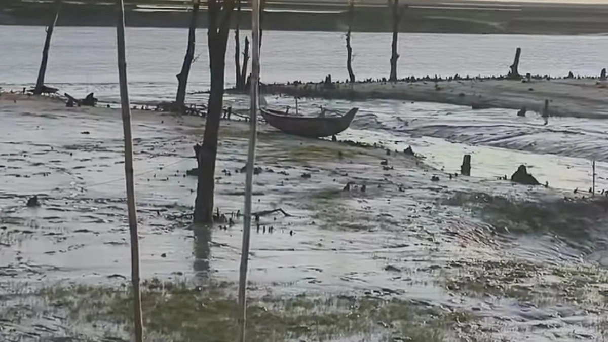 প্যারাবন কেটে মৎস্যঘের