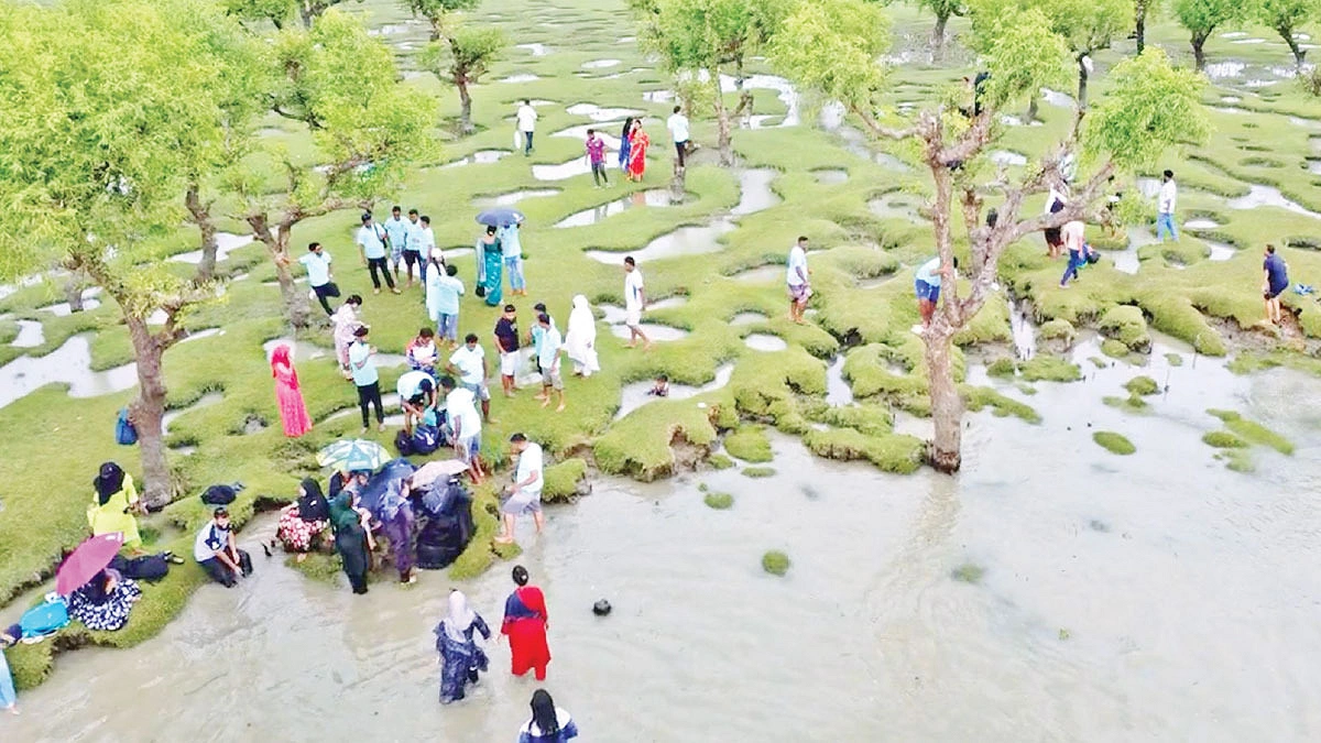 বরগুনার তালতলীতে সুন্দরের হাতছানি, পথে পথে ভোগান্তি