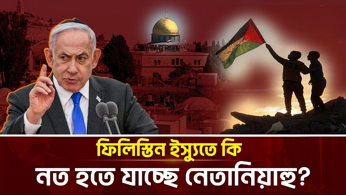 Video news 3