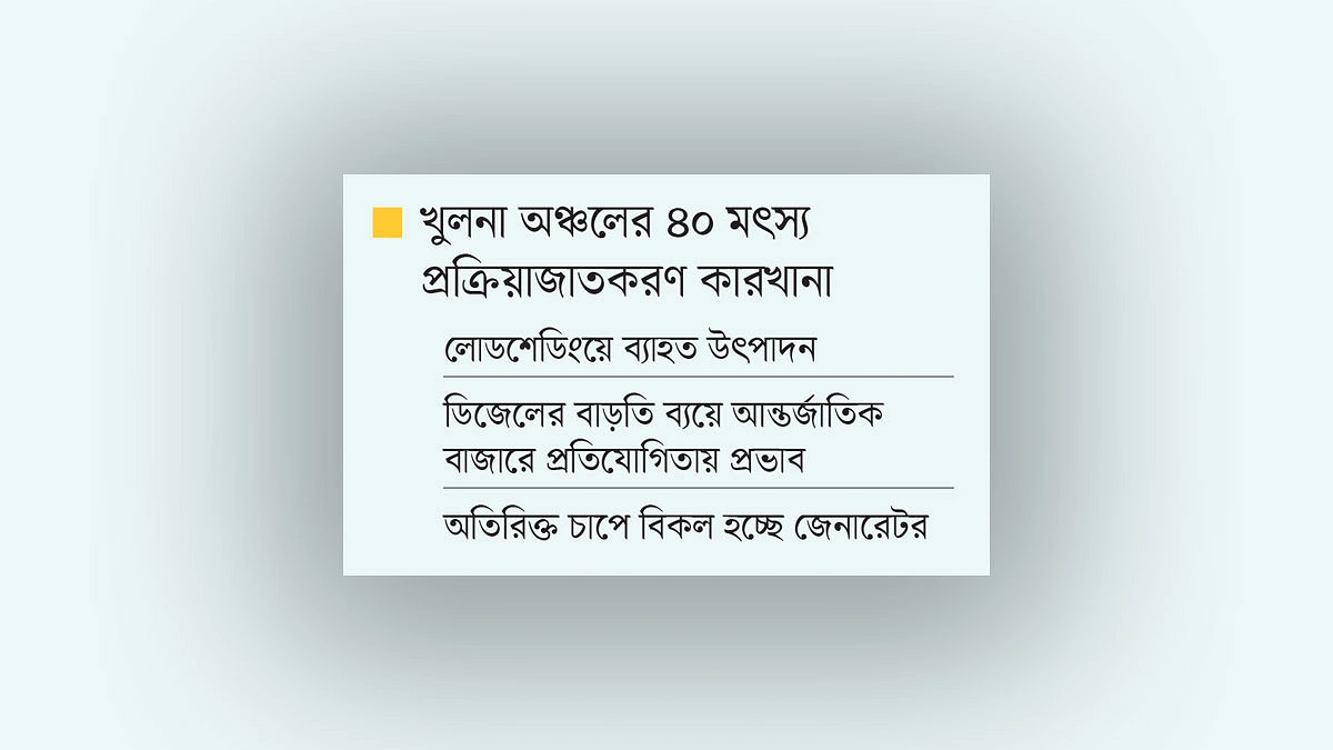 মাছ সংকটের পর লোডশেডিং, ক্ষতির মুখে খুলনার ব্যবসায়ীরা