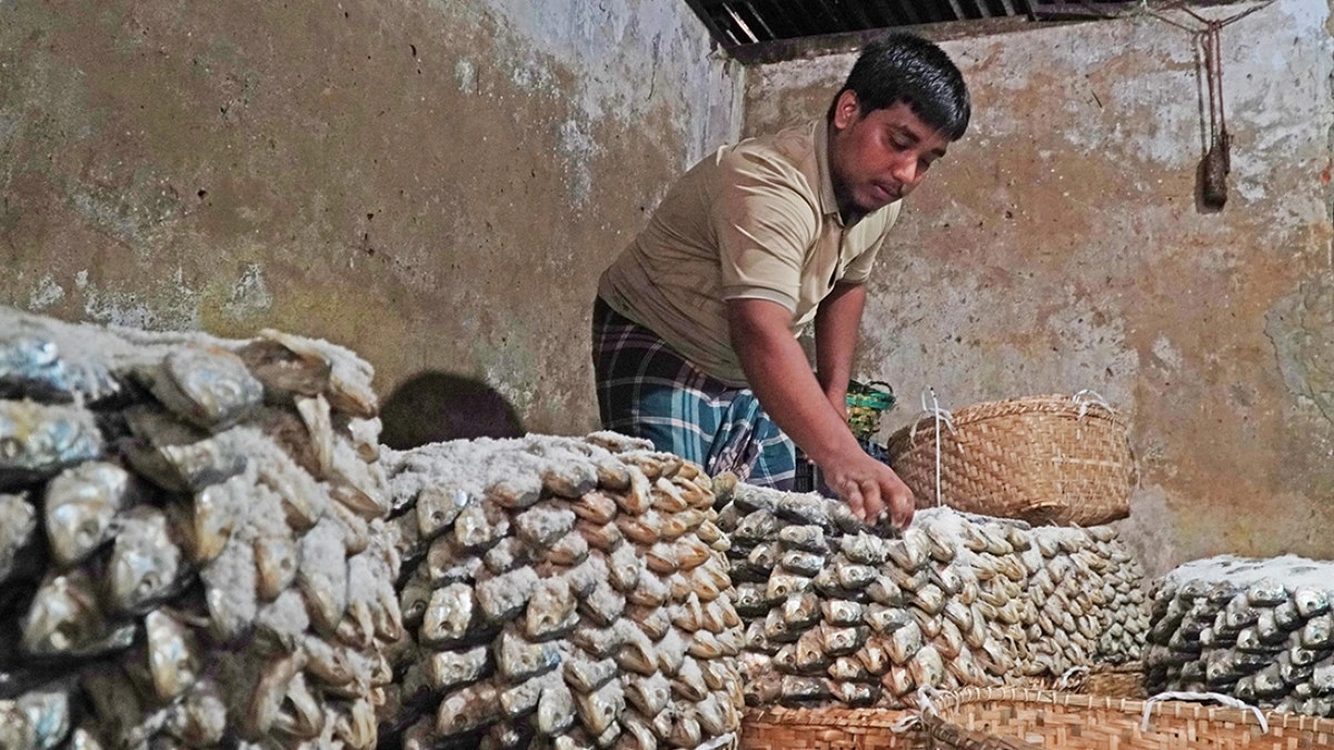 রুপালি ইলিশ
