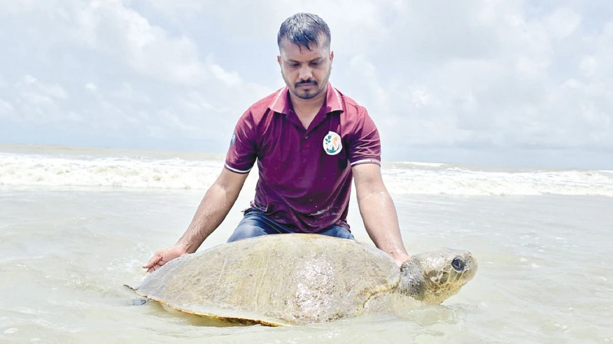 অসহায় প্রাণী থেকে মানুষ, সবার পাশেই বাচ্চু