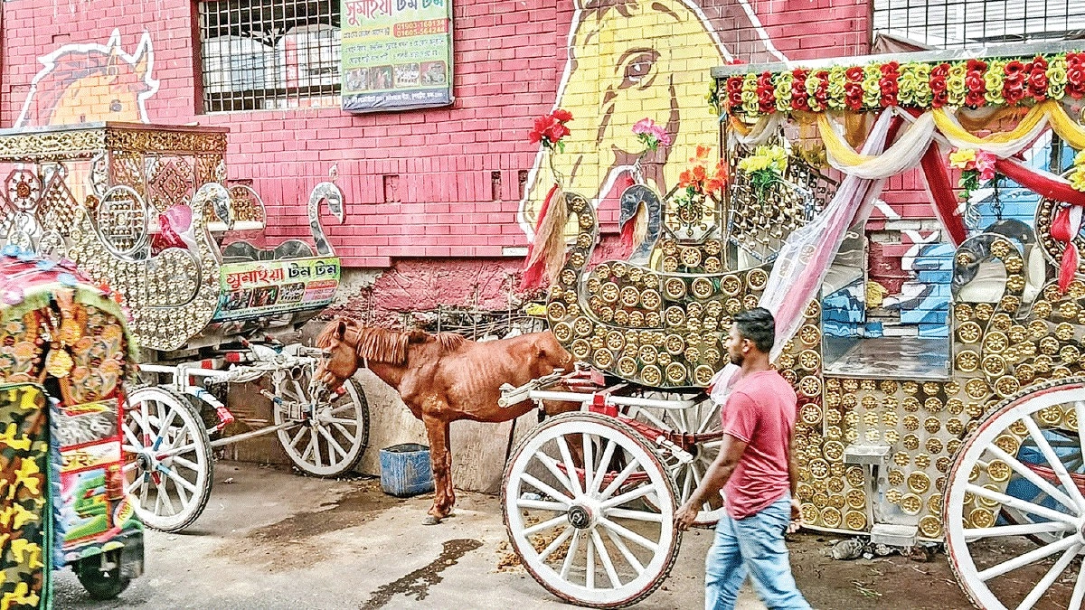 মানুষ এত অস্থির না হইলে শহরটা সুন্দর হইত