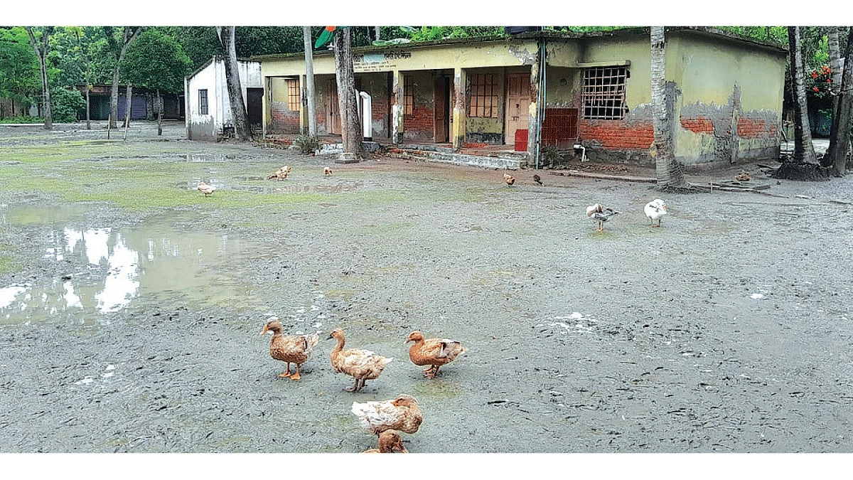 যশোরের খরিচাডাঙ্গা সরকারি প্রাথমিক বিদ্যালয়ের ভবন পরিত্যক্ত, মাঠ জলাবদ্ধ