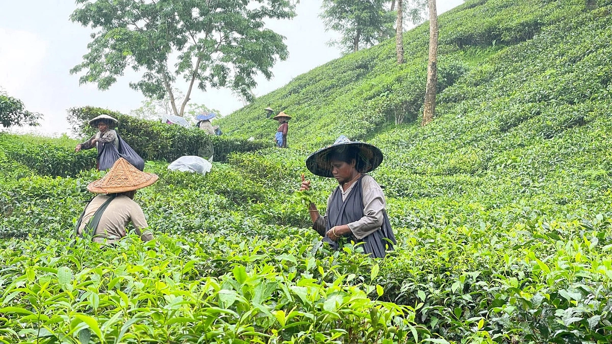 ৭৮০০ টাকার ভাতা, মিলেছে ৩ হাজার