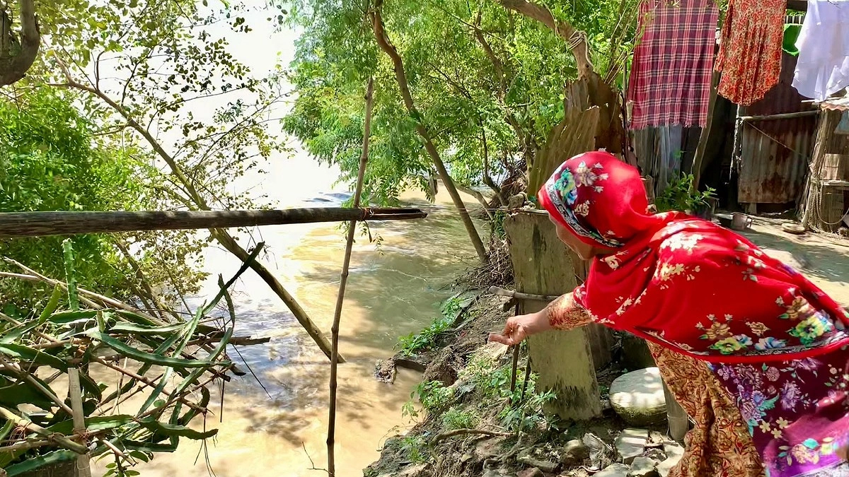 পদ্মার পানি কমে বেড়েছে সাপ আতঙ্ক