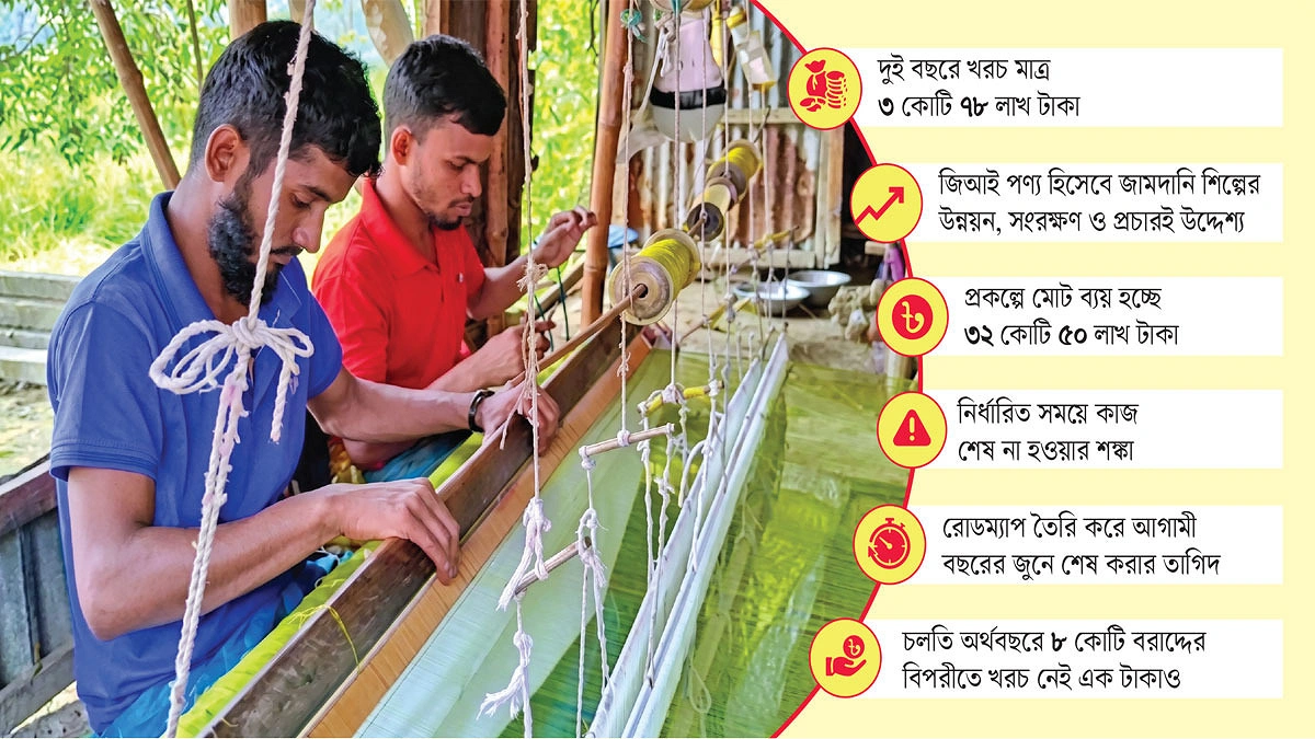 গতিহীন জামদানি ভিলেজ
