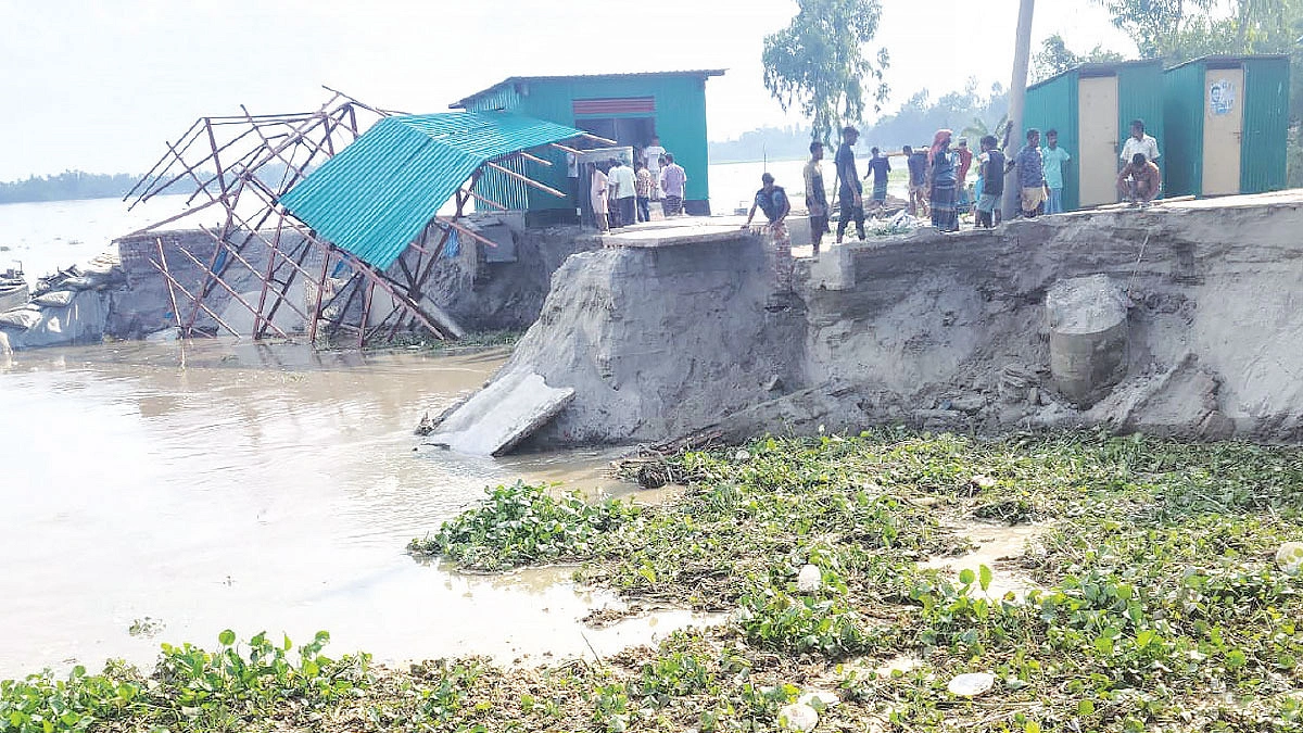 তিস্তায় ভাঙছে গাইবান্ধার লালচামার