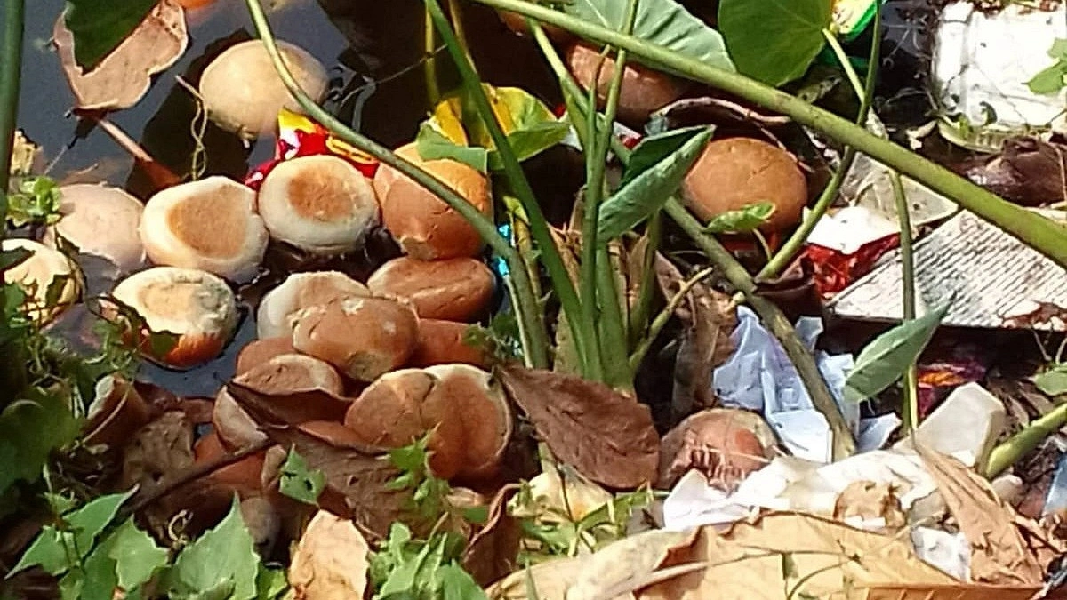 মতলবে শিক্ষার্থীদের মিড-ডে মিলের বানরুটি ফেলা হলো পুকুরে