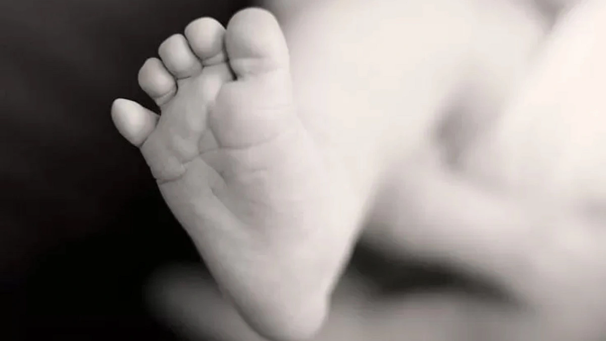 ময়লার স্তূপে পড়ে ছিল দুই নবজাতকের মরদেহ