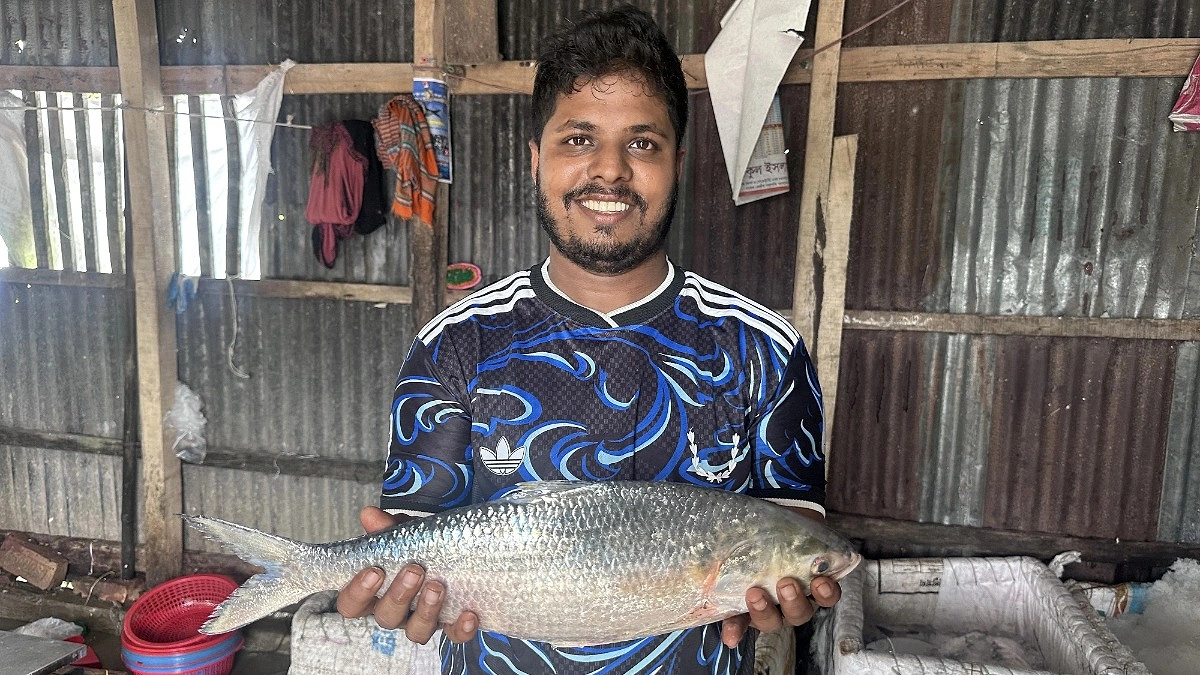 বড় ইলিশের স্বাদে বঞ্চিত বাউফলের মানুষ