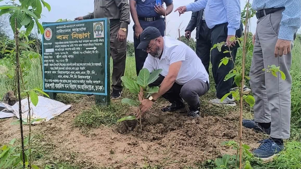 পরিবেশ ও জীববৈচিত্র্য রক্ষায় সবুজায়ন গুরুত্বপূর্ণ : পরিবেশ প্রতিমন্ত্রী
