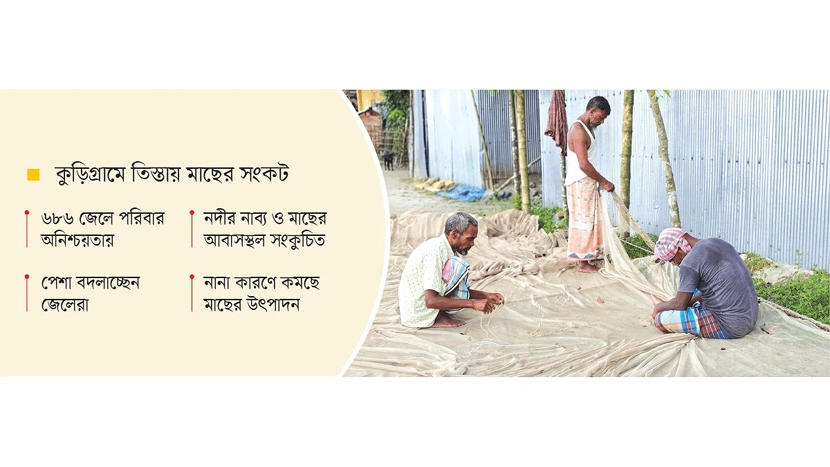জাল আছে, মাছ নেই