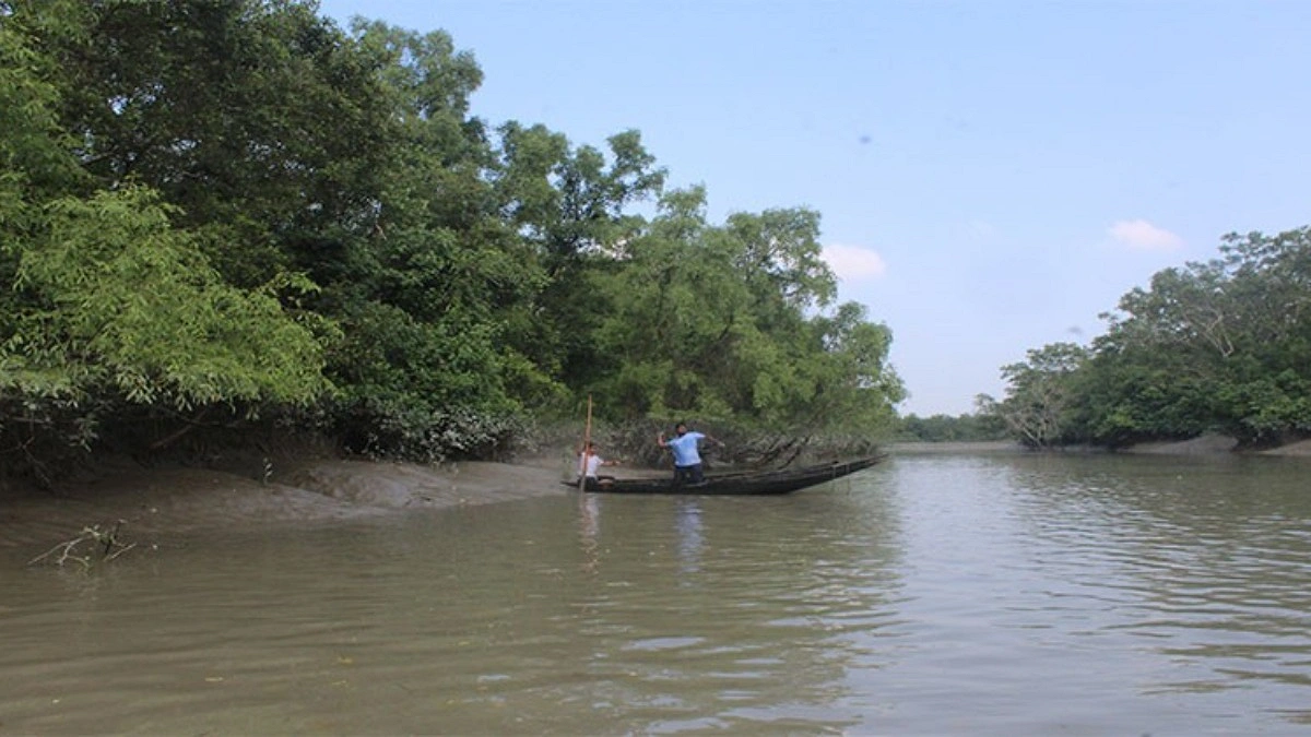 সুন্দরবনে মজনু বাহিনীর হাতে অপহরণের শিকার ৪ জেলে