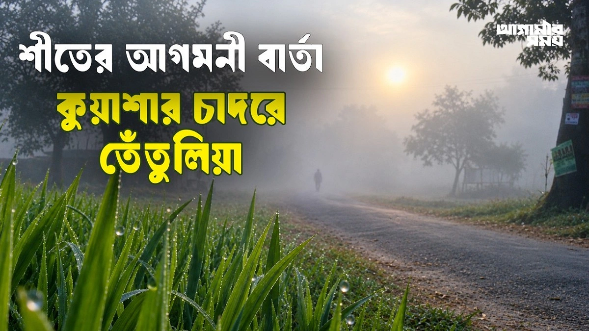 Video news 4