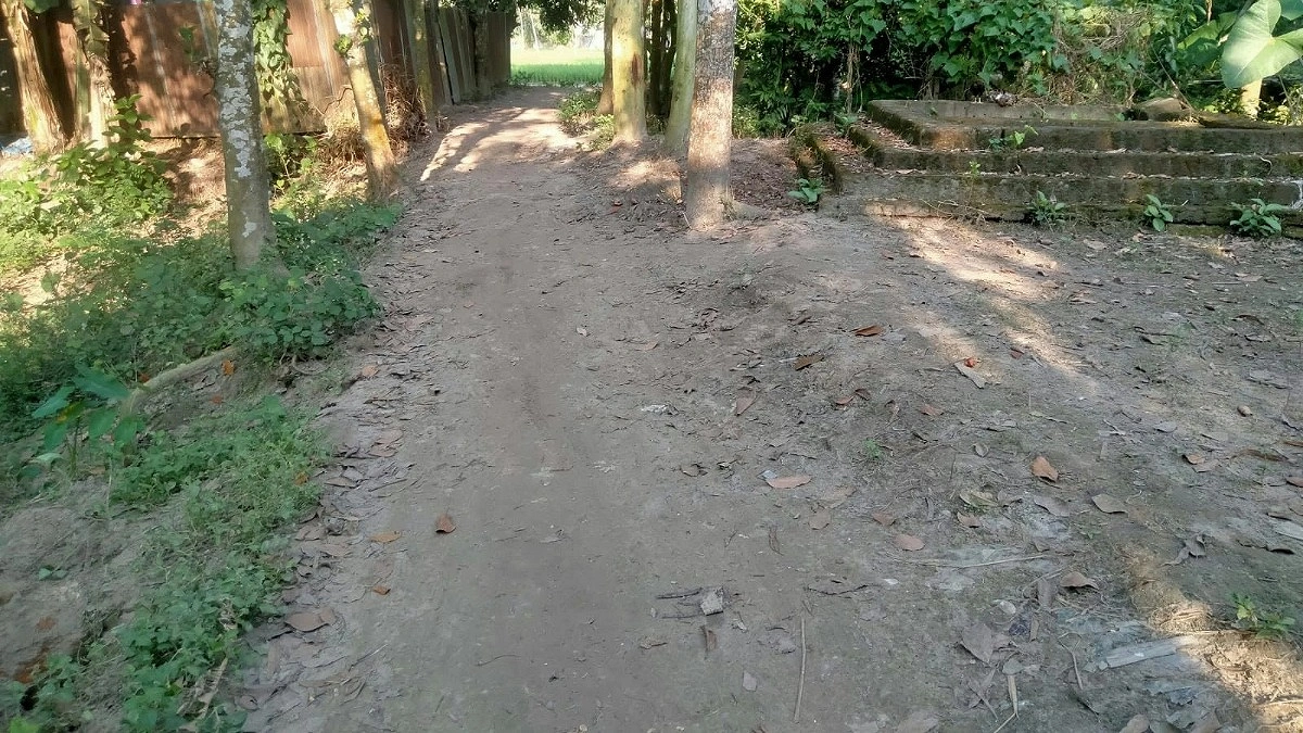 কাবিখার কাজ কাগজে শতভাগ, বাস্তবে নেই