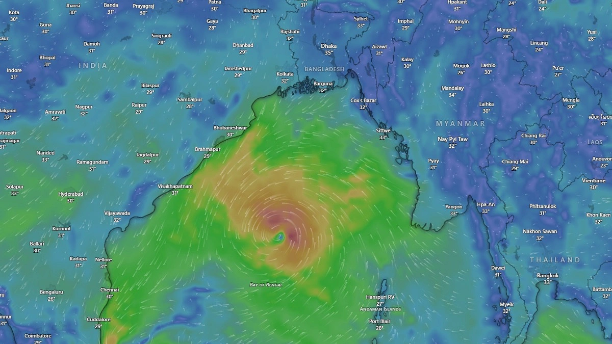 ছবি: উইন্ডি ডট কম।