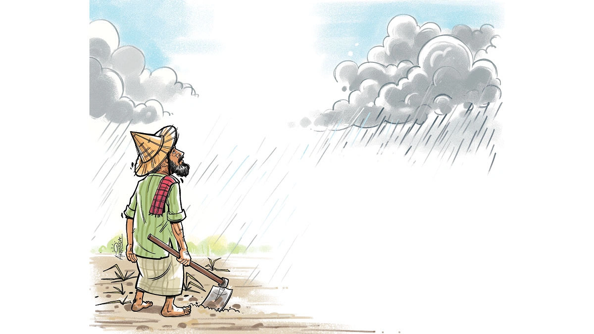 বদলেছে বৃষ্টির ধরন, বদলাতে হবে কৃষি মৌসুম