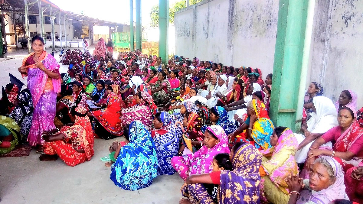 পূজার বোনাস ও বকেয়া আদায়ে উত্তপ্ত মিরতিংগা চা বাগান, ধর্মঘটের ডাক