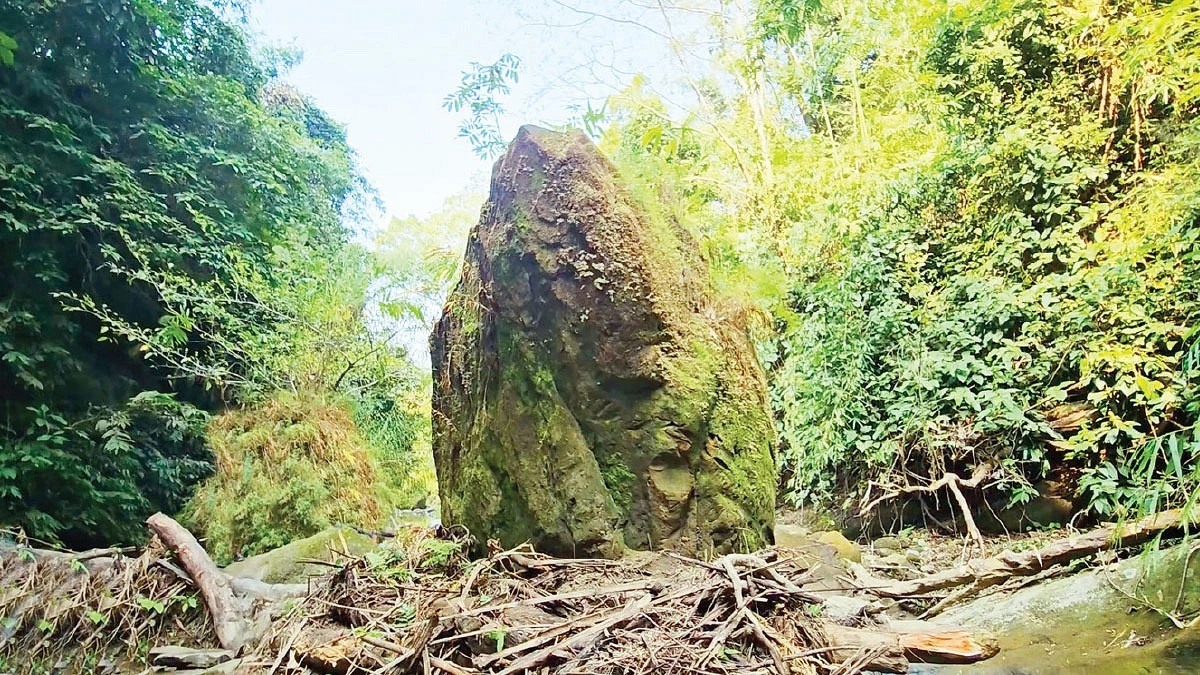 অনাহূত অতিথি