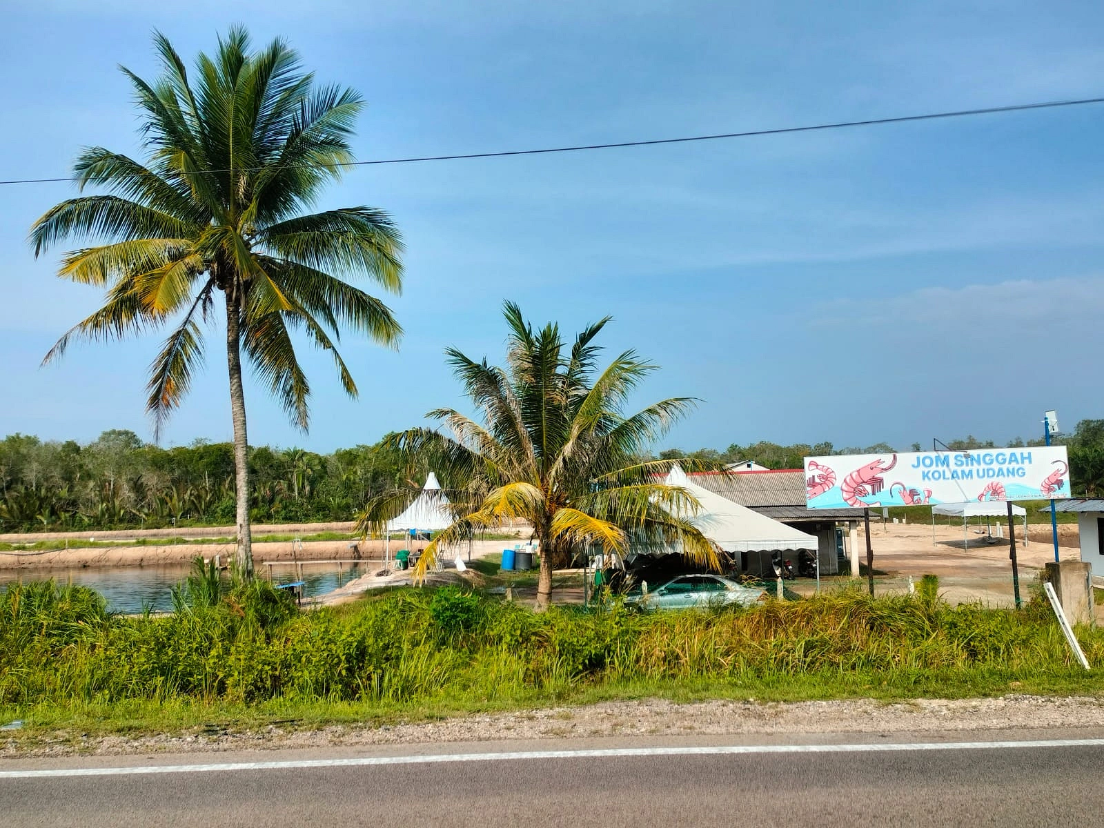 সুবিশাল চিংড়ির হ্যাচারি