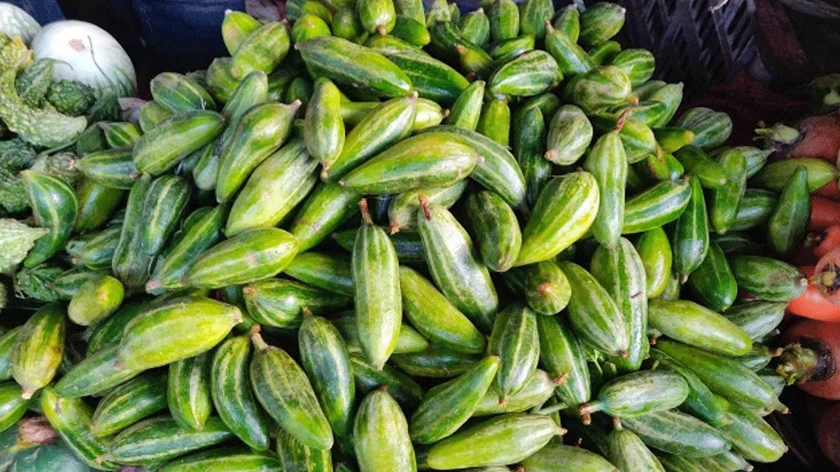 ৭০ টাকার পটোল দুদিন পর ১২০