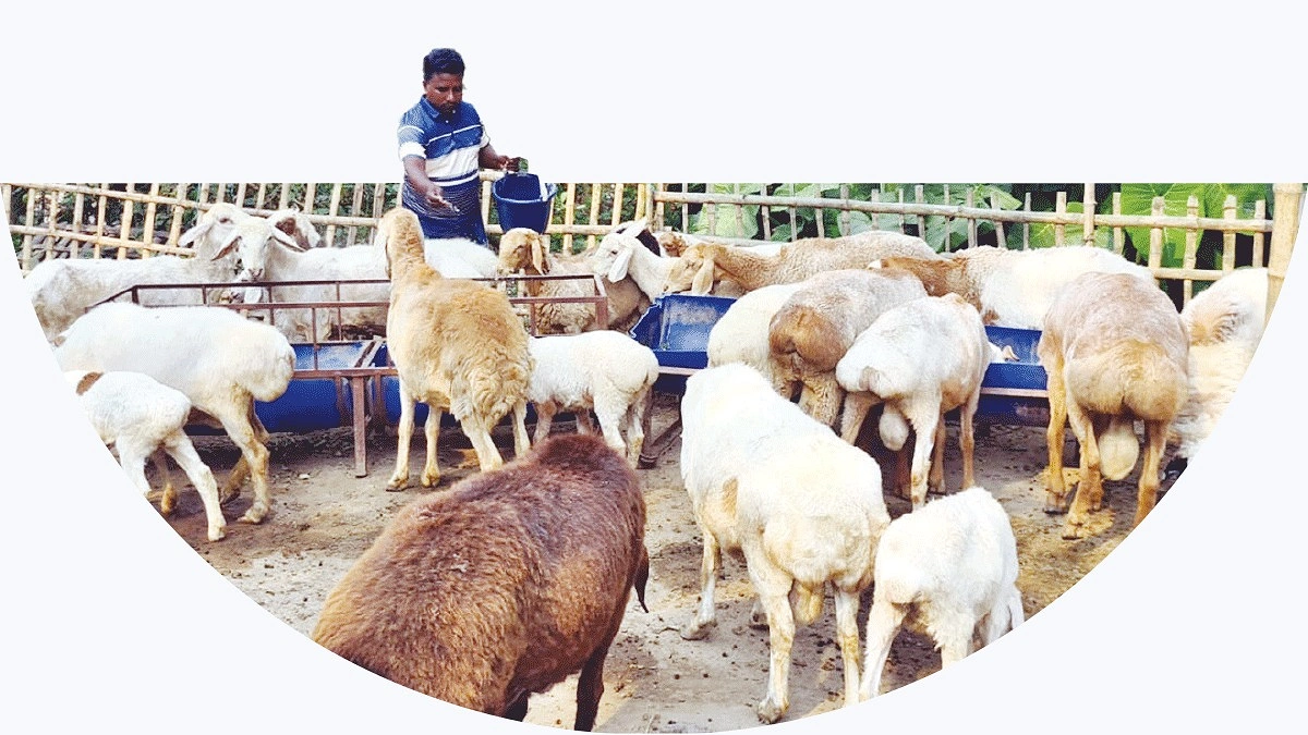 মরুর দুম্বায় সম্ভাবনার দুয়ার