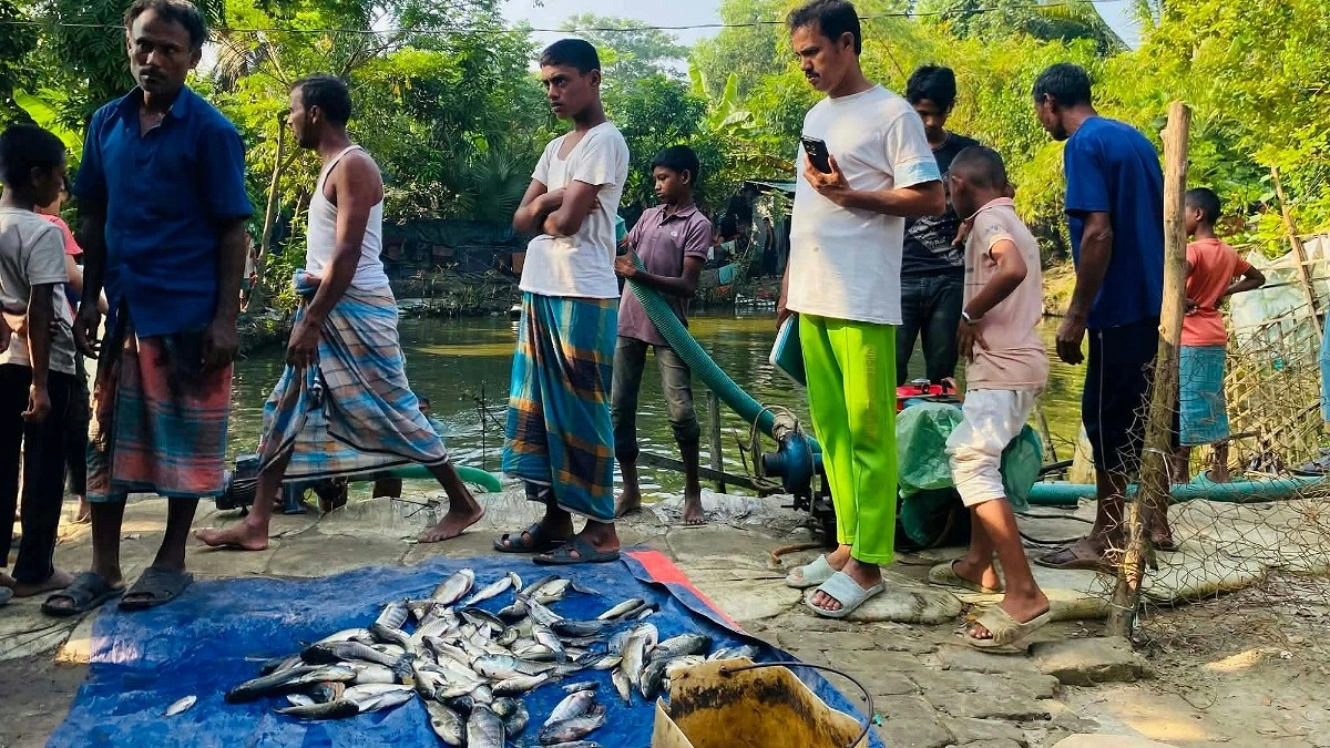 শখের মাছ চাষে শক্রতার বিষ, লাখ টাকার ক্ষতি