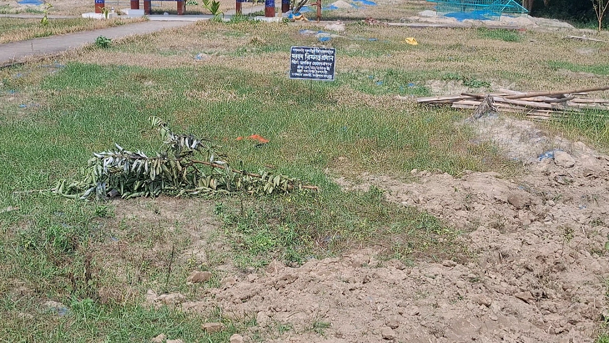 সাবেক রাষ্ট্রদূতের কবরের বেড়া কেটে নিয়ে গেল সুইজারল্যান্ডপ্রবাসী