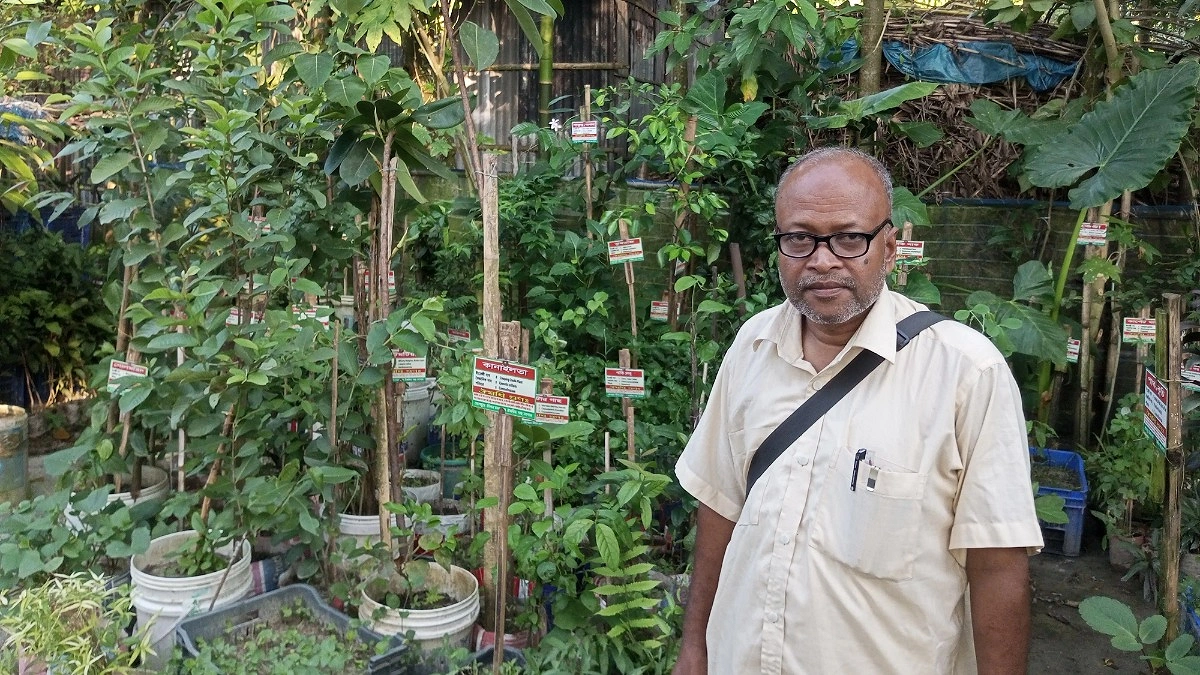 আড়াই বছরে আমিনুলের সংগ্রহে ২৫০ প্রজাতির ঔষধি গাছ
