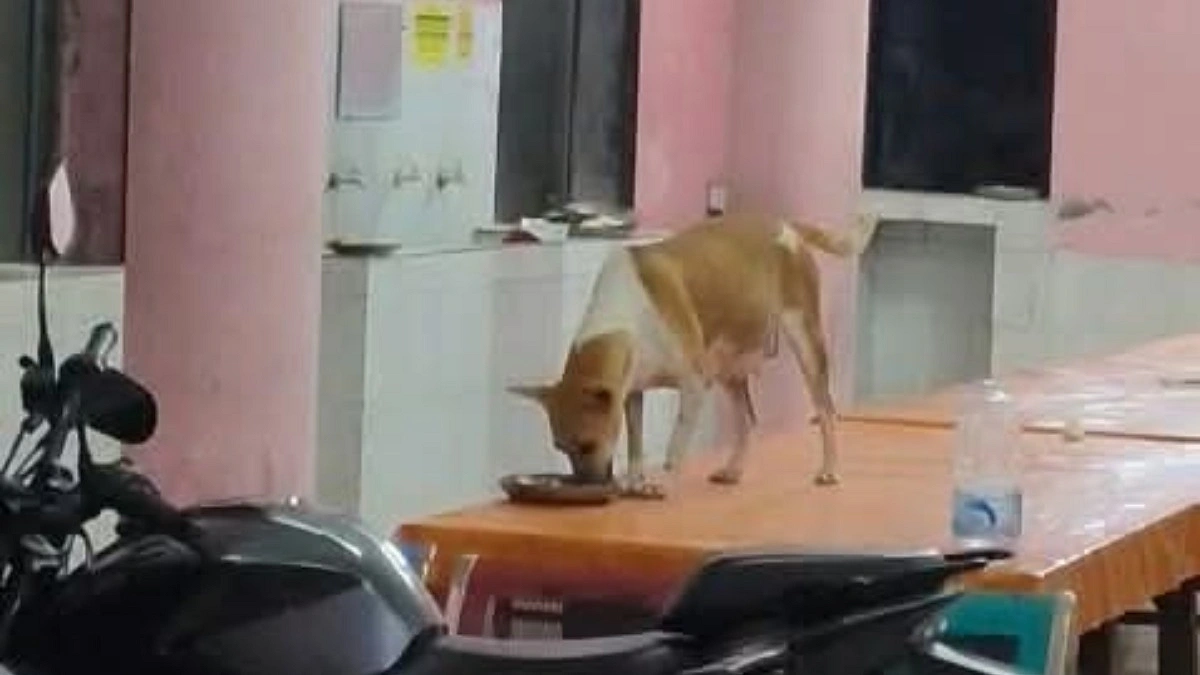 ছাত্র হলের ডাইনিং টেবিলে খাচ্ছে কুকুর