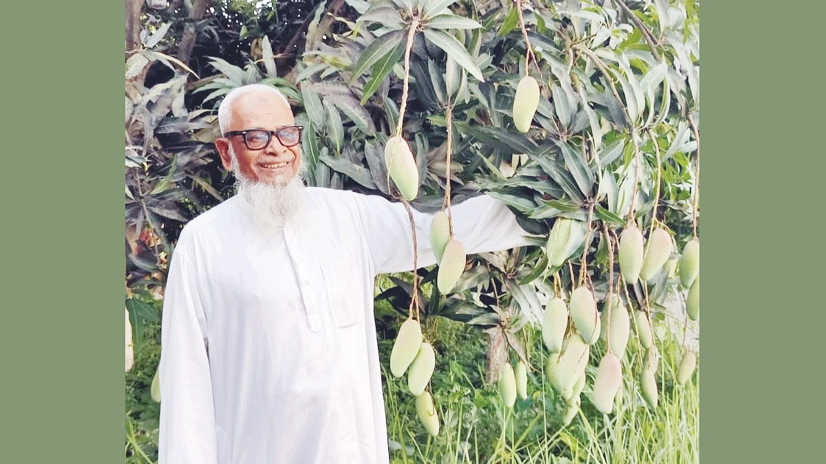 হার না মানা সোলায়মান