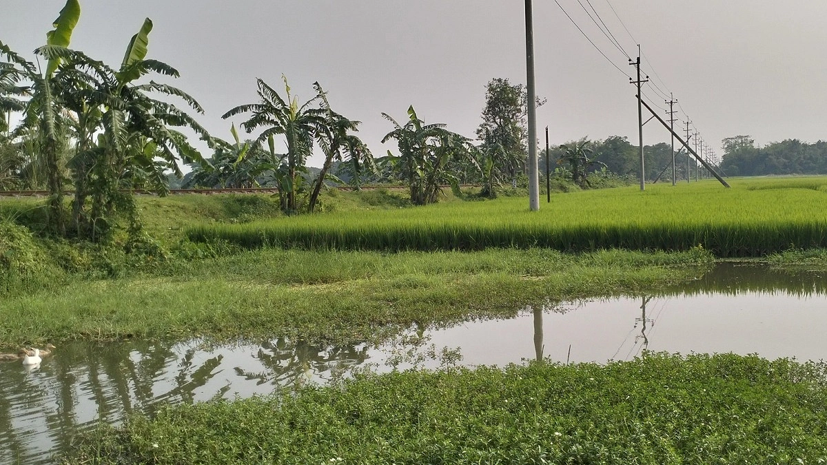 পূর্বধলায় রেলওয়ের জমি লিজ নিয়ে বিরোধ, মুখোমুখি দুই পক্ষ