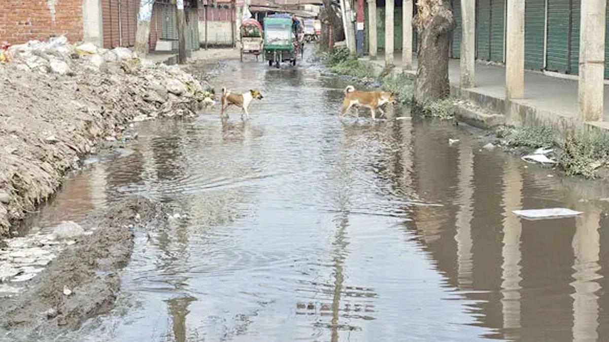 বৃষ্টি নেই তবু শ্রীপুরে সড়কে হাঁটুপানি