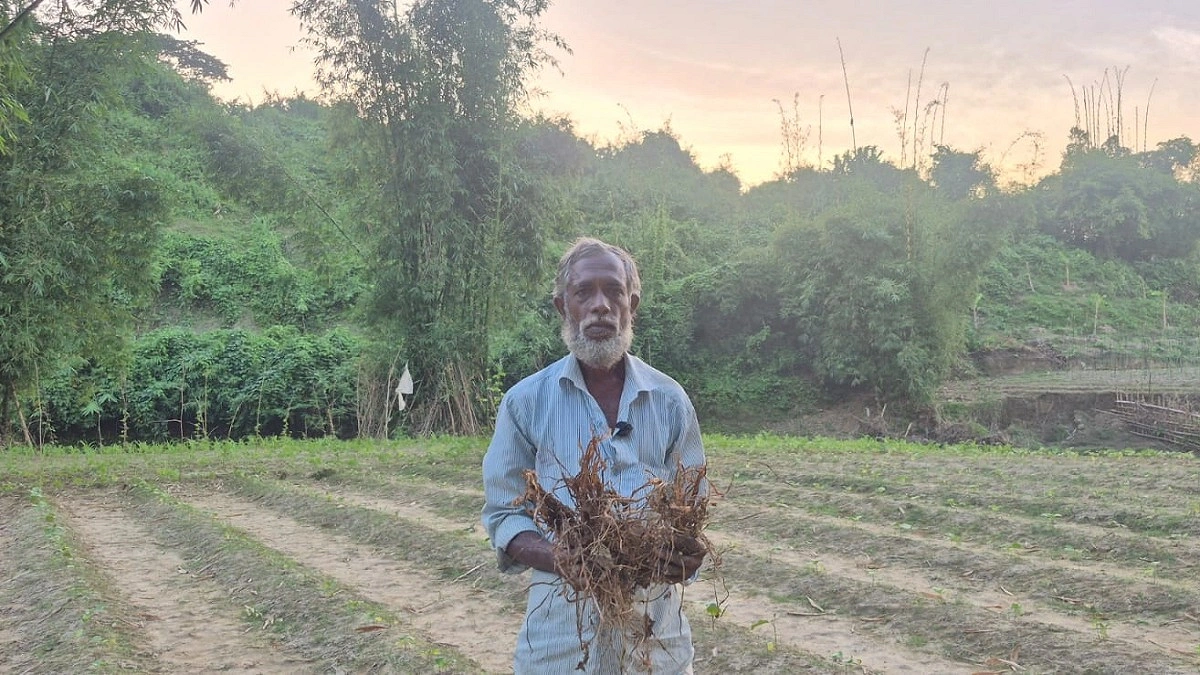 ঘুষ না দেওয়ায় কৃষকের সবজি ক্ষেত নষ্টের অভিযোগ বাঘখালী রেঞ্জের বিরুদ্ধে