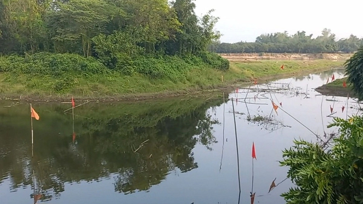 সংকটে পীরগঞ্জের কদমতলী মৎস্য অভয়াশ্রম