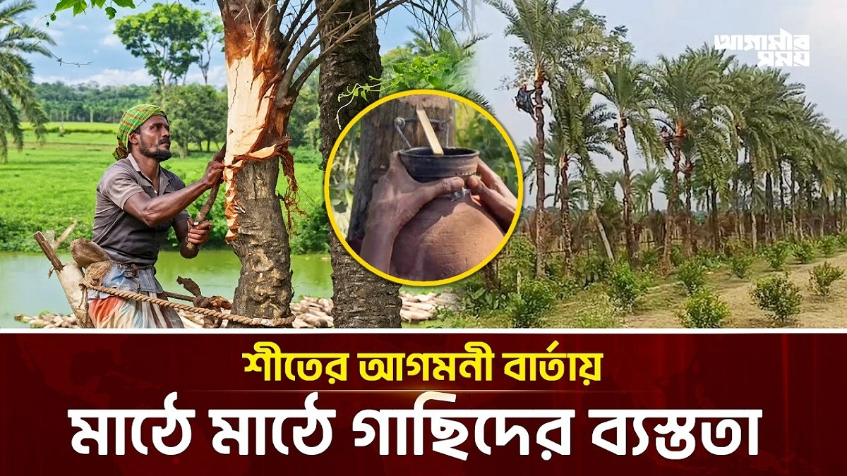 Video news 1