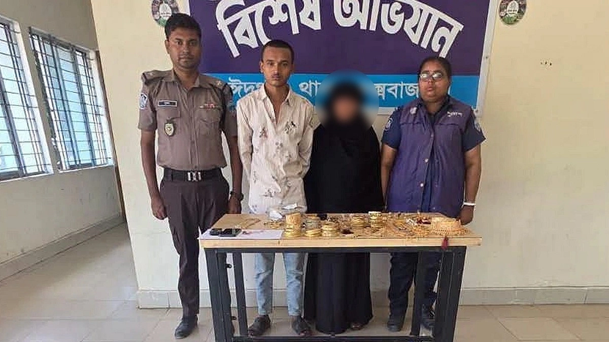 সড়কে গণডাকাতি, মা-ছেলে আটক