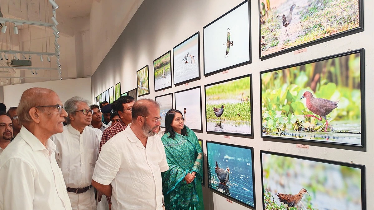 আলোকচিত্রে ‘নদী ও পাখি’, জীববৈচিত্র্য সংরক্ষণের বার্তা