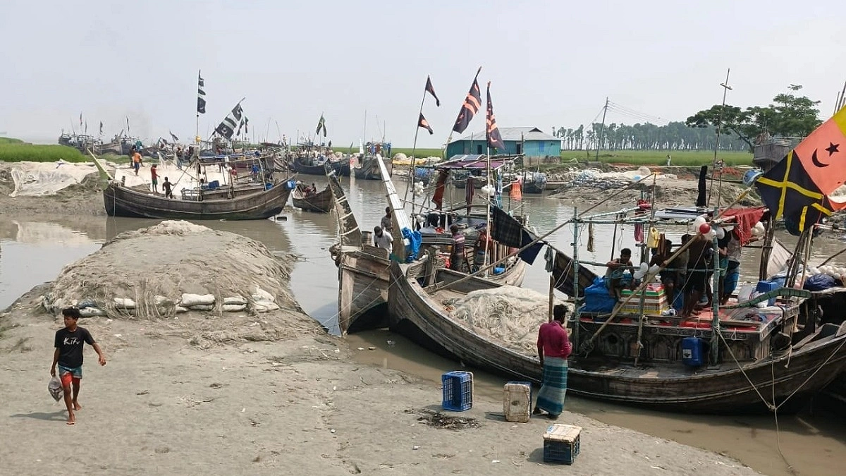 মা ইলিশ রক্ষায় ২২ দিনের নিষেধাজ্ঞা শুরু