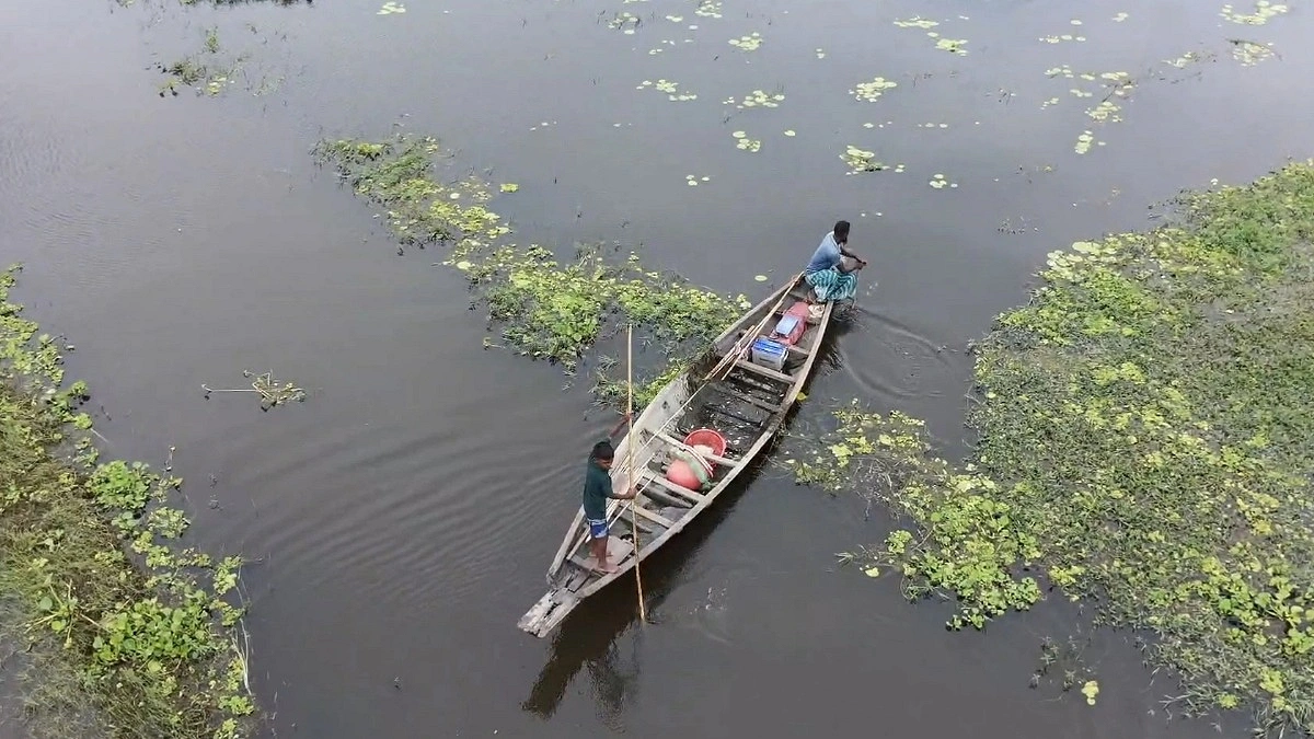‘বৈদ্যুতিক শক মেশিন’ দিয়ে মাছ শিকার, হুমকিতে জীববৈচিত্র্য
