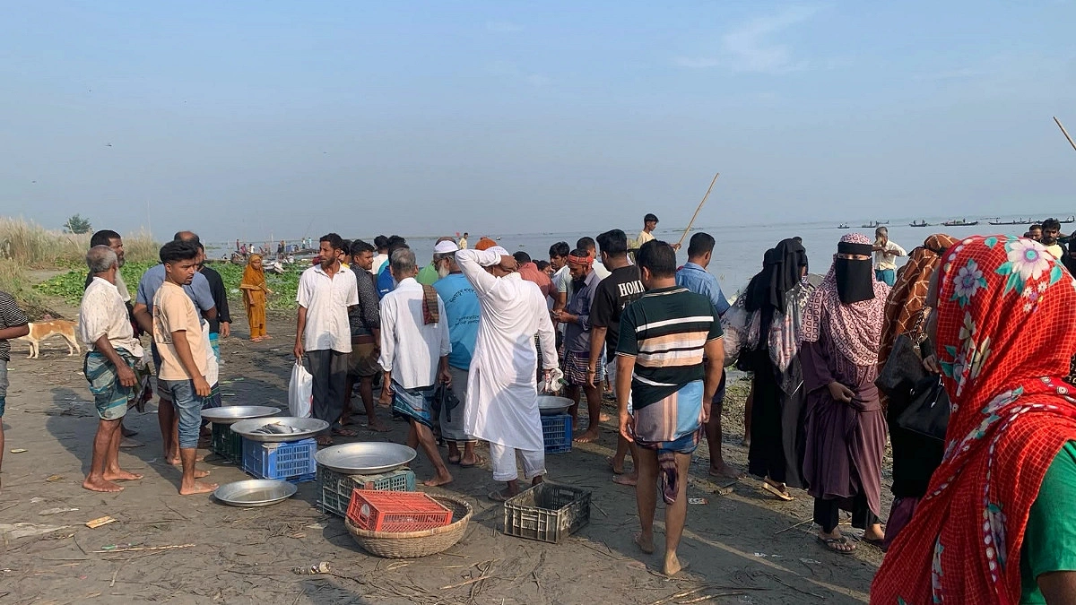 নিষেধাজ্ঞার মধ্যেই শিবচরে ইলিশ শিকার, চরাঞ্চলে অস্থায়ী হাটে ক্রেতাদের ভিড়