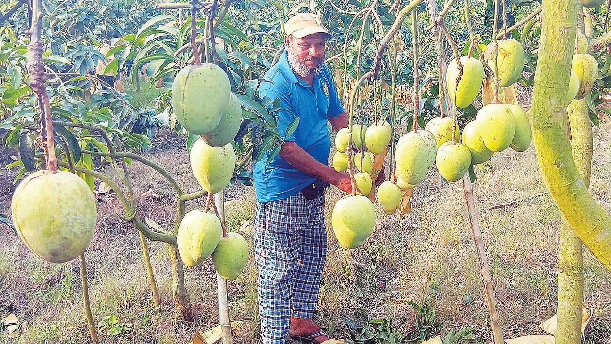 অসময়ে কল্যাণ আনবে কল্যাণভোগ