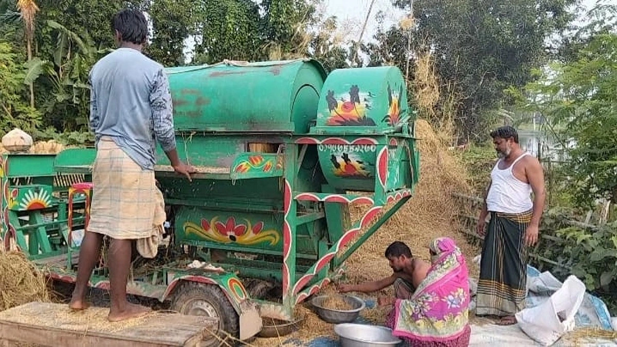 আগাম আমনে মঙ্গা দূর, ফলনে খুশি কৃষক