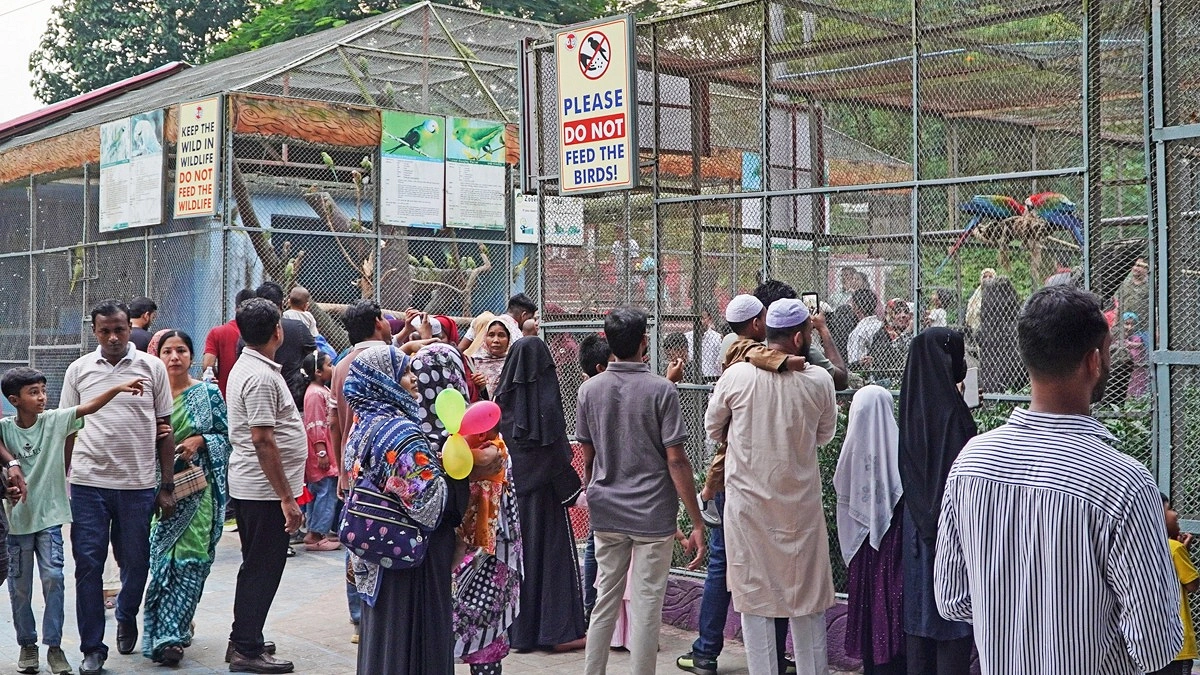 পাখির খাঁচার সামনে বিপুলসংখ্যক দর্শনার্থী