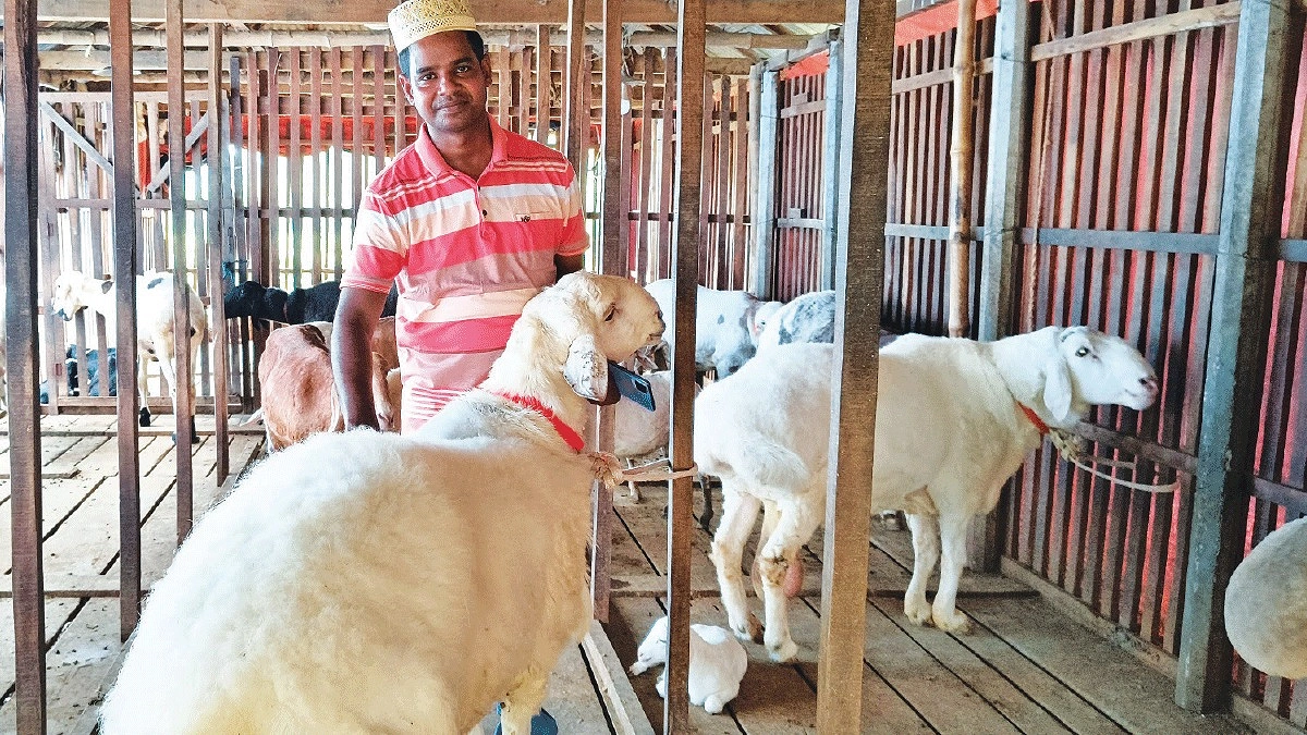 ৩২ বিঘার খামার হান্নানের