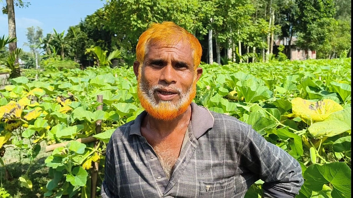 ‘লাউয়ের দাম ১-২ টাকা, হামেরা কেন-গো বাঁচিমো’