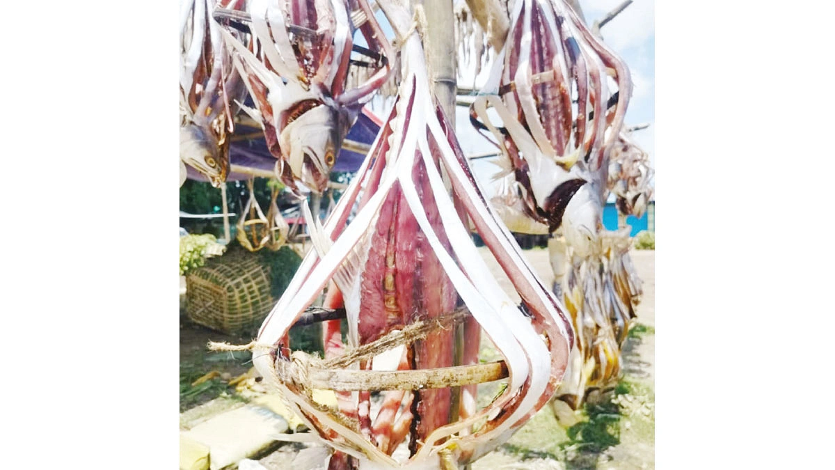 শুঁটকিপল্লী; ছবি: লেখক