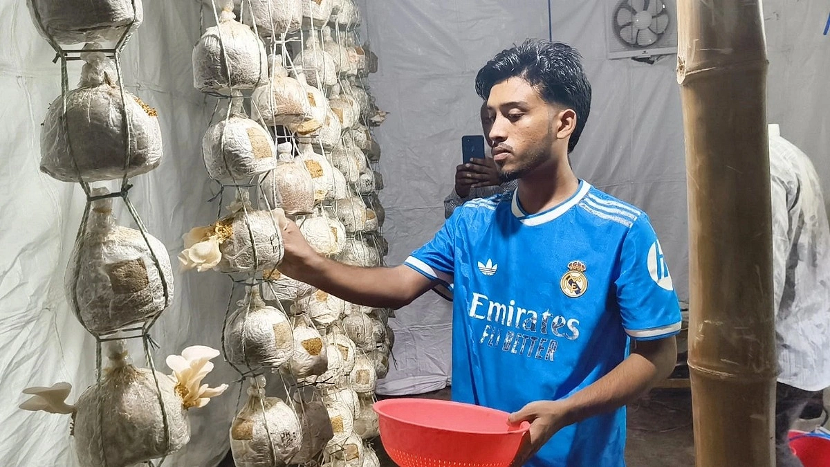 চাকরির পেছনে না ছুটে মাশরুম চাষে তিন বন্ধু