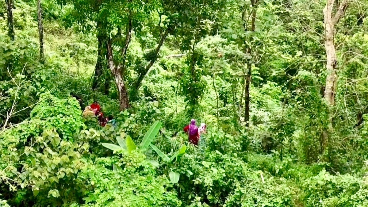মৌলভীবাজার সীমান্তে ২৫-৩০ জনকে পুশইনের চেষ্টা প্রতিহত: বিজিবি
